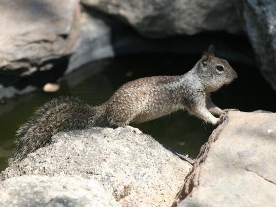 Here's a rundown on the schedule of OC Parks events for April in Orange County.