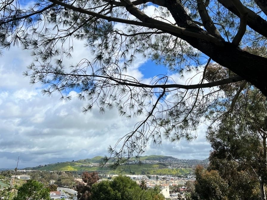 Dana Point resident Gail Lucowicz took a moment to capture the beauty of sunlight in between weeks of clouds and rainstorms.