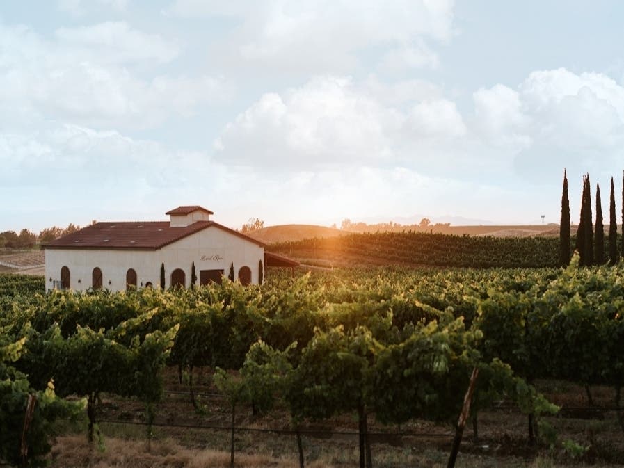 Danza Del Sol Winery in Temecula Valley Wine Country.