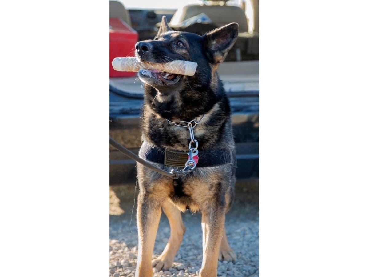 Good dog! This K-9 officer smelled something was up with a truck passing into Indio over the weekend.