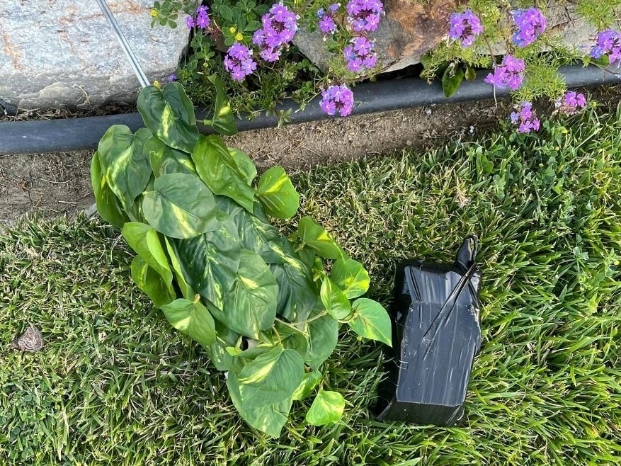 Is burglary casing the reason behind recent surveillance cameras in area front yards? or is it something more nefarious?