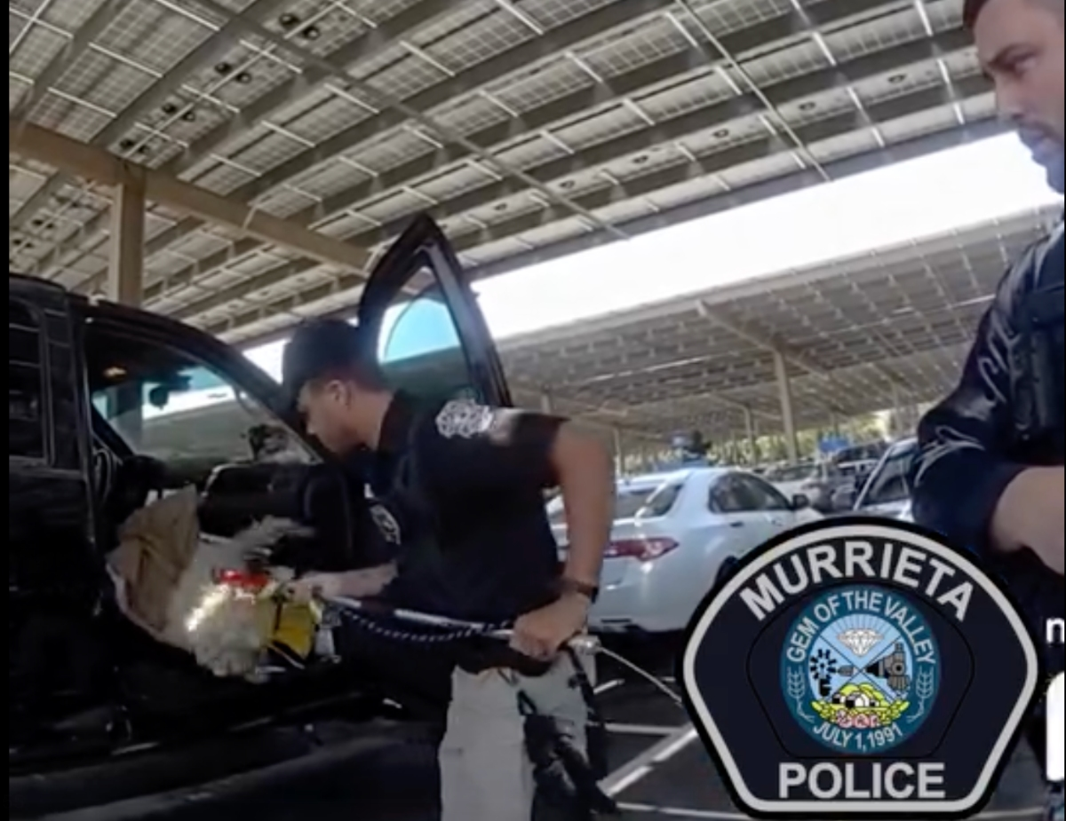 Two dogs were rescued from inside a hot car Friday in Murrieta, outside Walmart.
