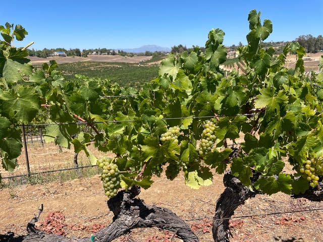 Temecula Weather Heats Up This Week: See The High Temperatures And ...