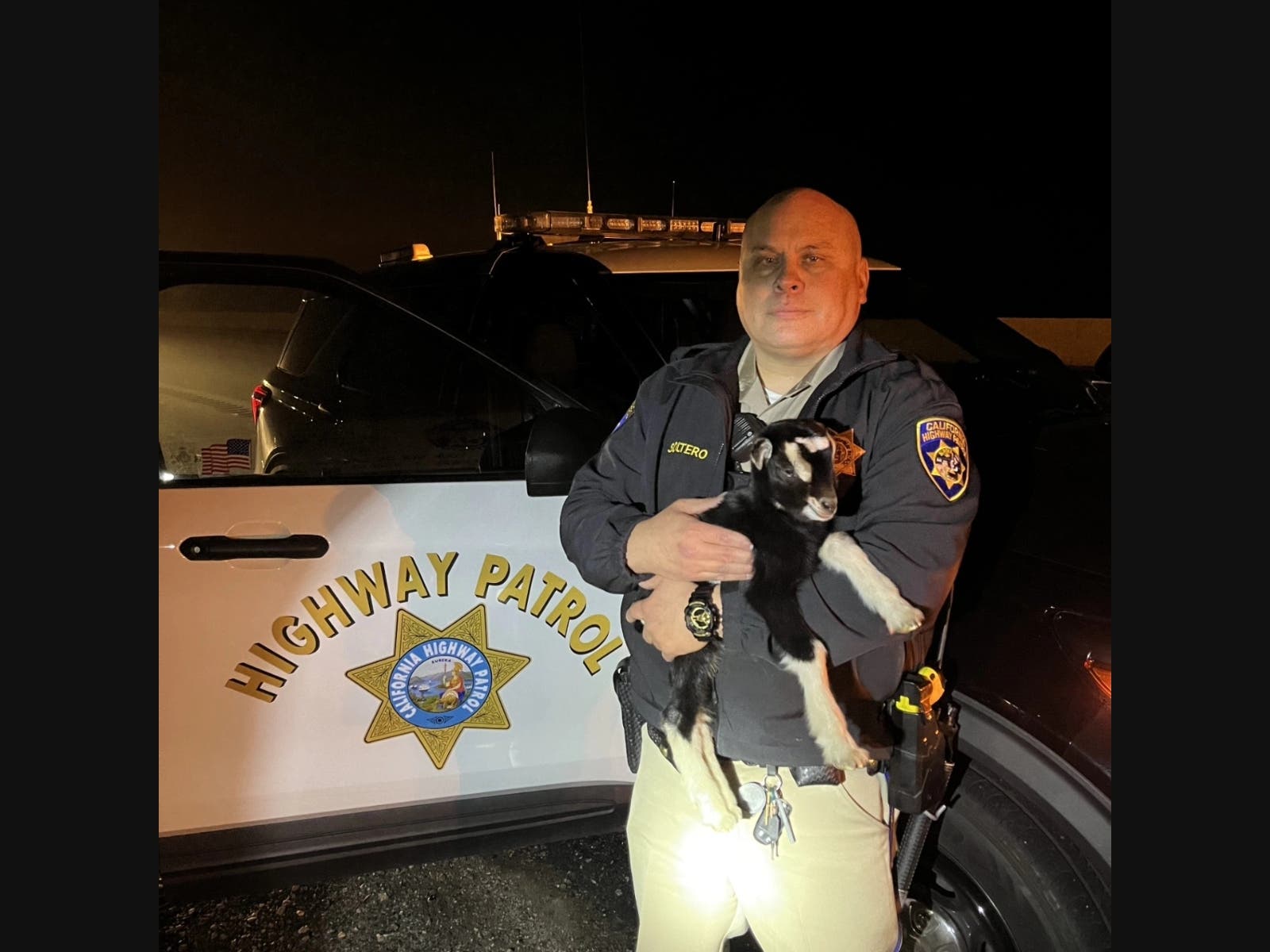 These dedicated officers made a DUI arrest after spotting an impaired driver on our local roads. When they approached the vehicle, they found an unexpected front-seat passenger... a GOAT!
