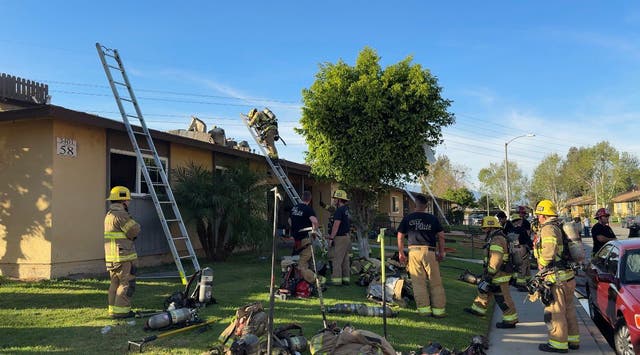 18 Displaced, Cats Require CPR In 2 Separate RivCo House Fires ...