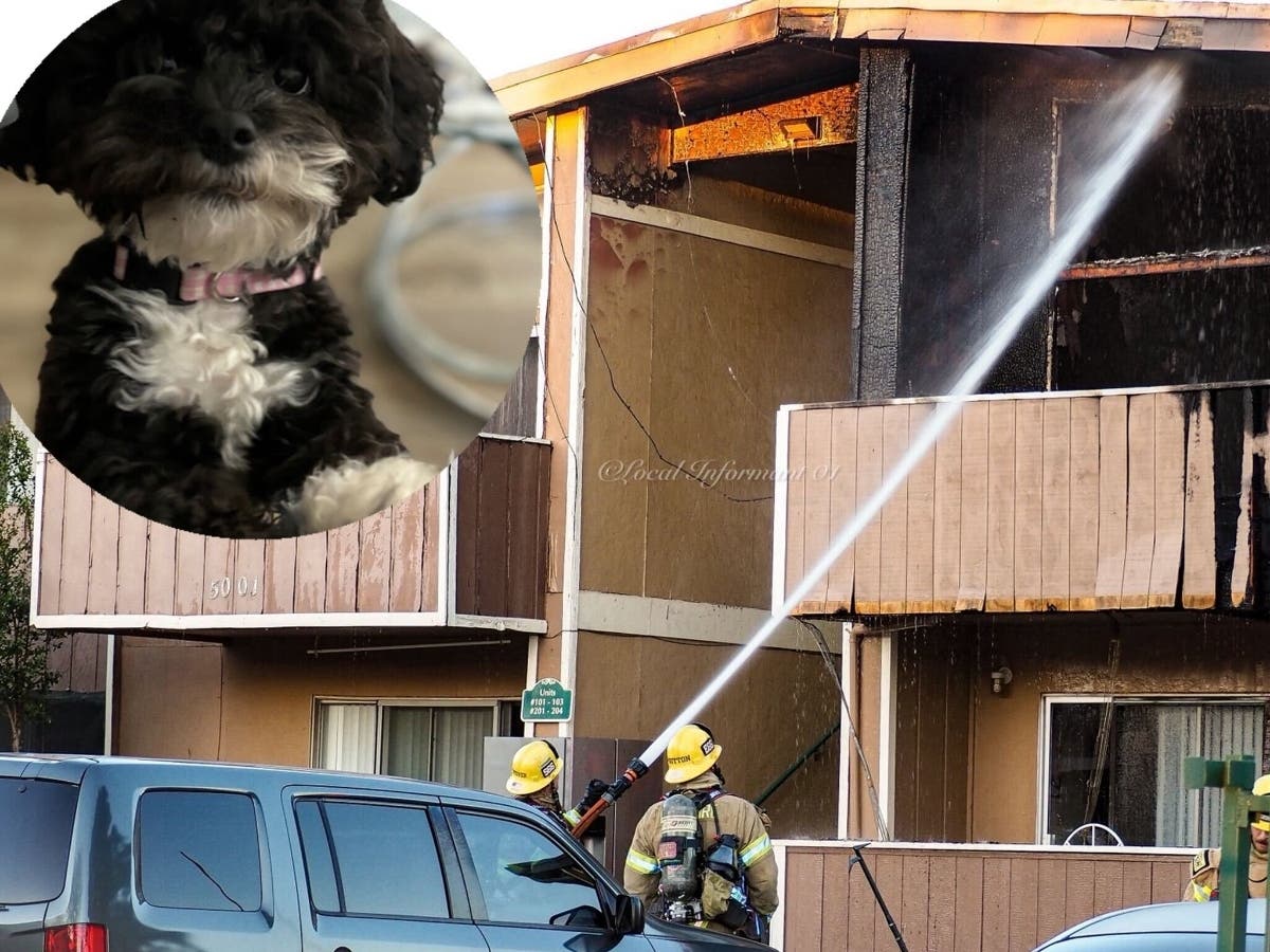 Mia died inside a Banning apartment fire on Saturday, the cause of which is still under investigation.