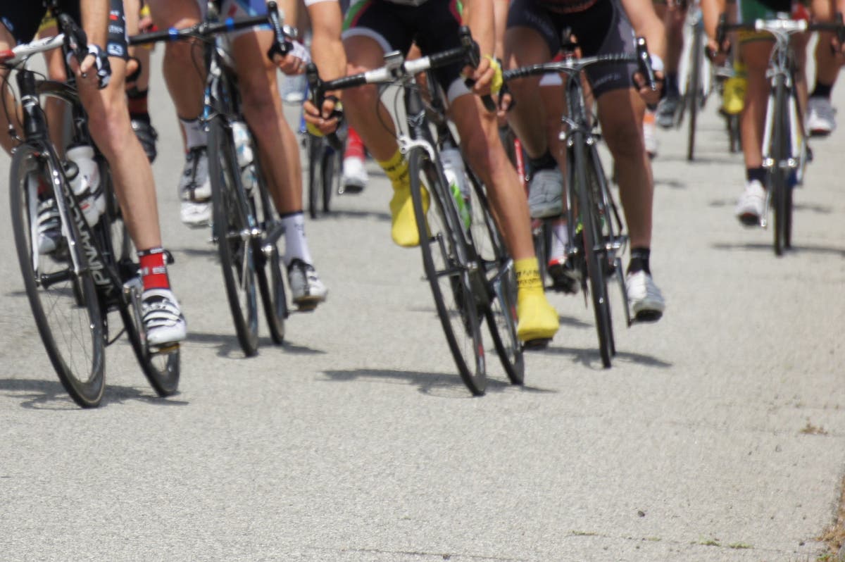 Tour De Murrieta, Festival, Concert In The Park: Sunday