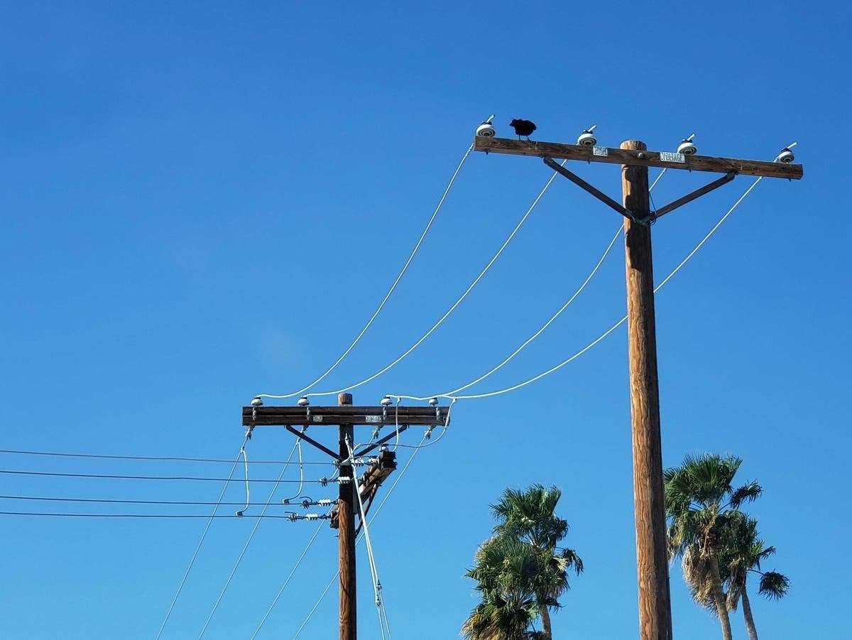 A power outage was reported in Temecula on Monday morning.