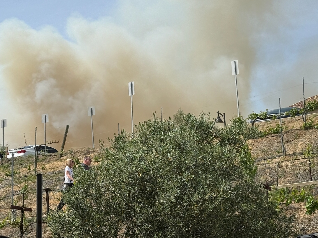 A brush fire ignited for reasons officials now believe was arson-related. One person has been detained, Cal Fire/Riverside County investigators say.