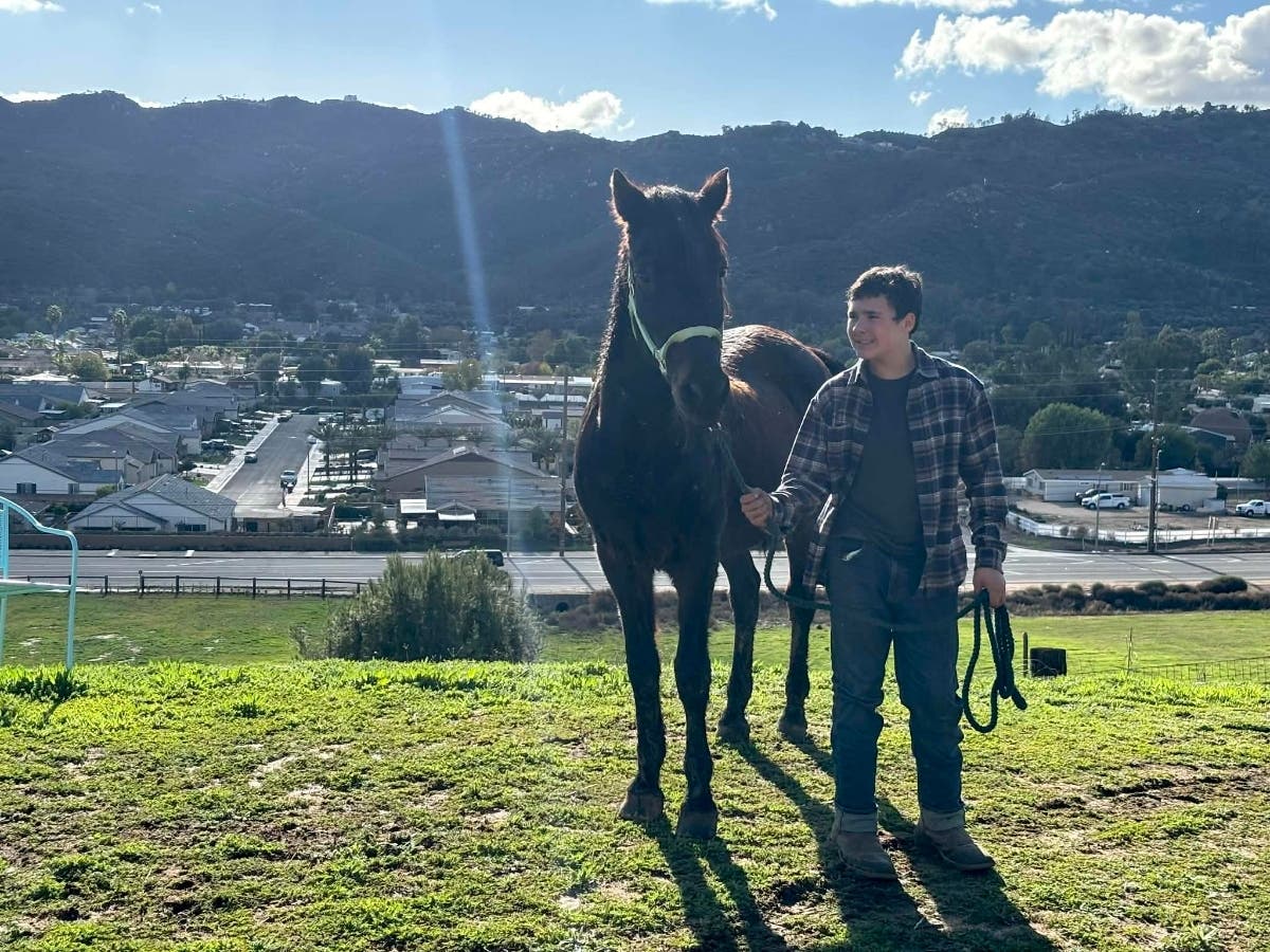 New Restrictions Proposed For Livestock Ownership In Wildomar, As Some Residents Balk