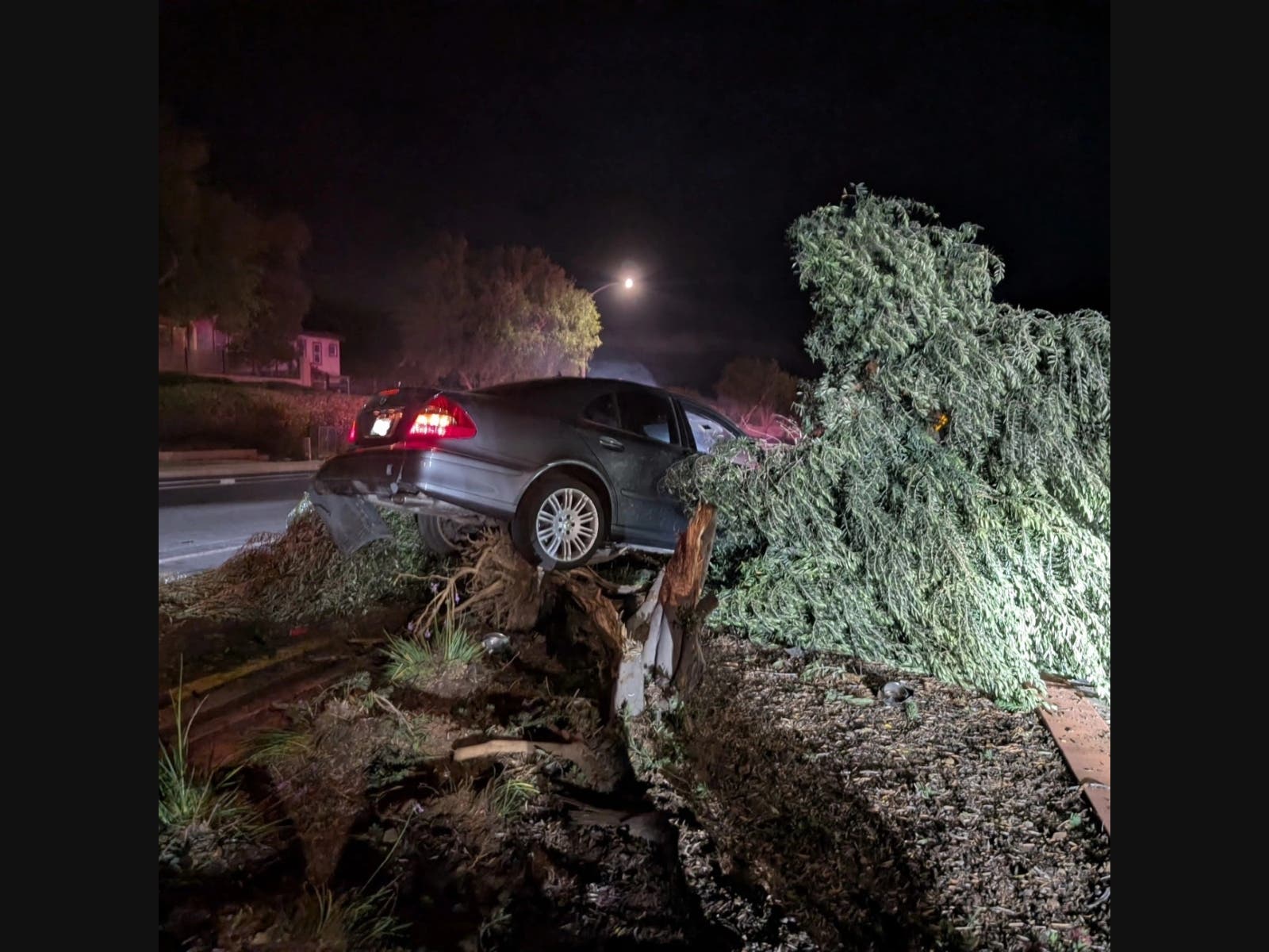 Drowsy driver strikes a tree in Murrieta.