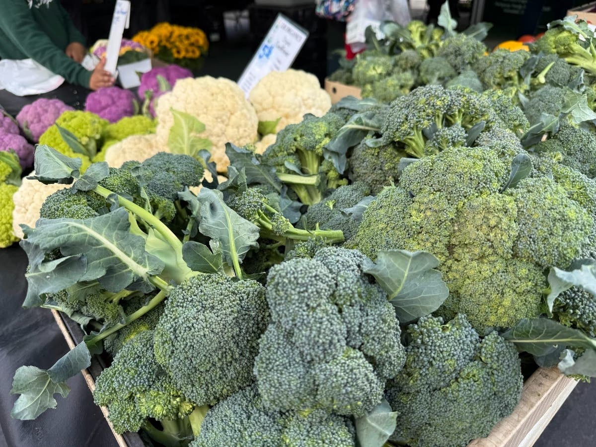 Cultivating Good, Temecula Chef Fundraises For Farm-To-Table-To-Pharmacy Movement