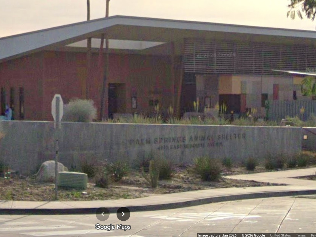 Palm Springs Animal Shelter