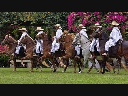 The event is sponsored by the Nature Education Foundation at the Santa Rosa
Plateau in a partnership with Galway Downs.