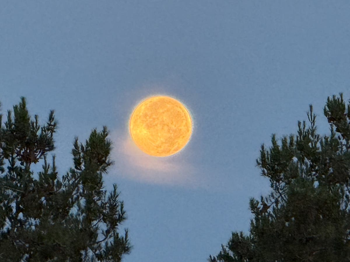 From Storm Basebuall, a Sturgeon Moon cruise for those lucky enough to live in Canyon Lake to tea with Mermaids! here's what is happening this weekend.