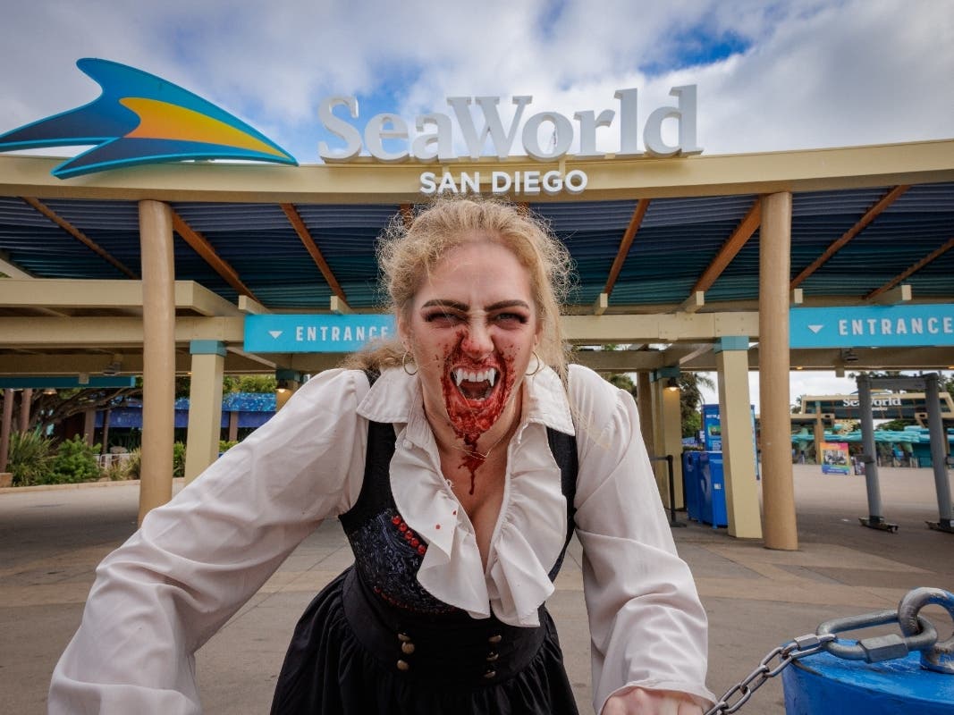 San Diego Blood Bank and SeaWorld are offering a ticket to their after-hours spooky event if you donate blood before the end of September.