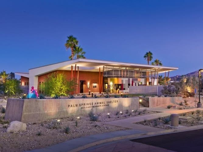 Palm Springs Animal Hospital.