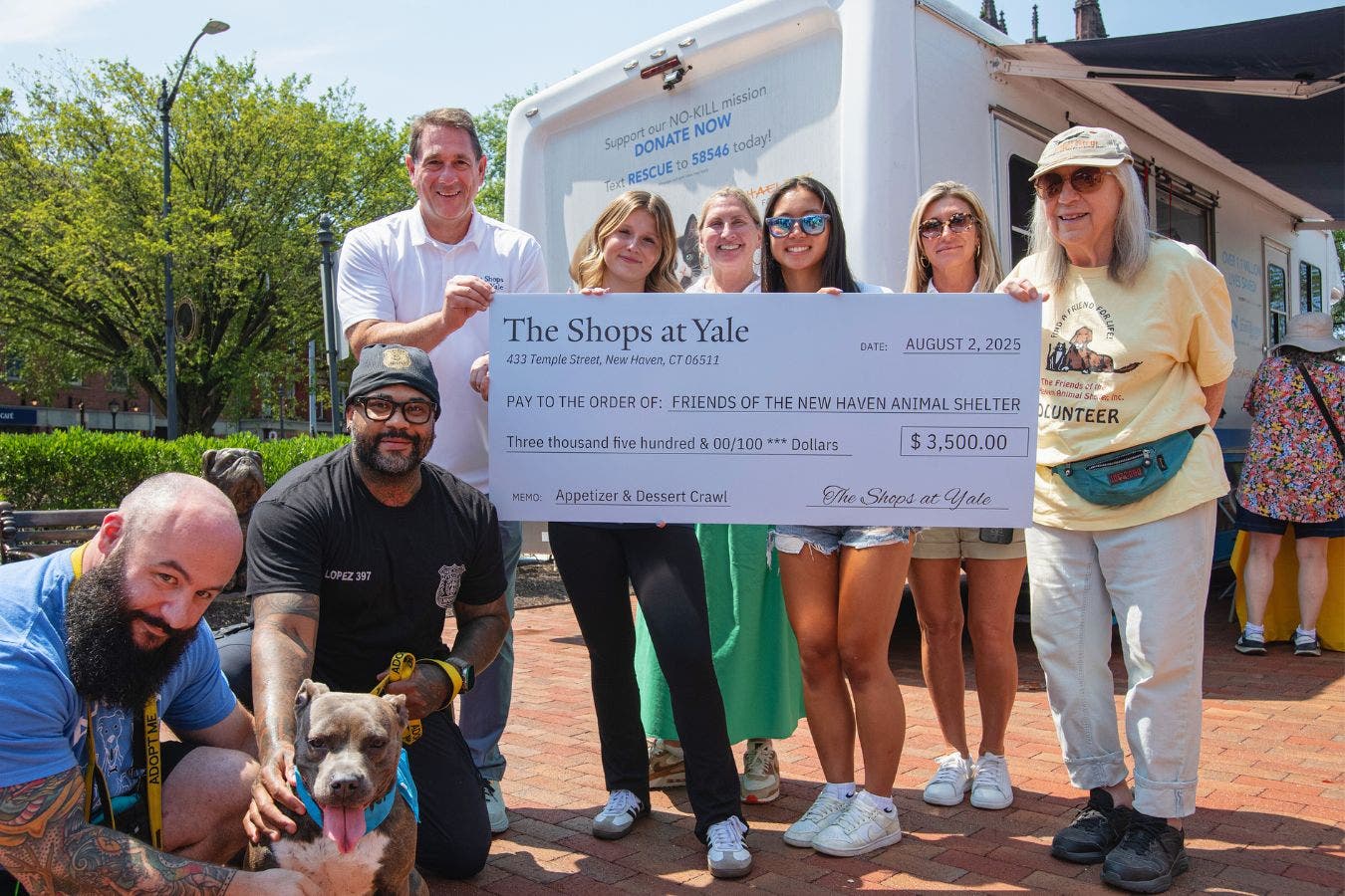 Dog Adoption on Broadway Island