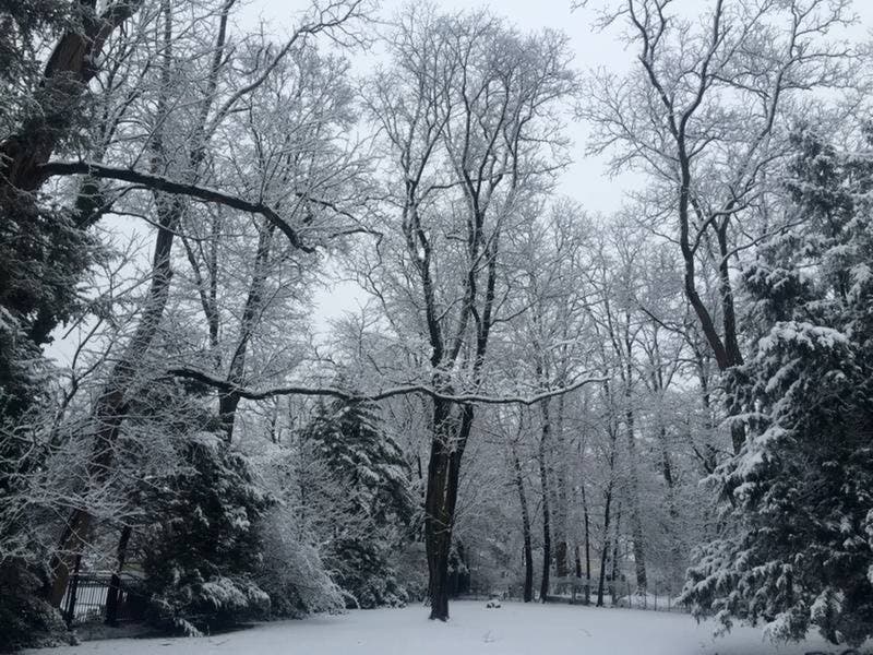 Loudoun County Snow Guide Traffic Snow Removal More Ashburn