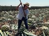 Tequila 1349 founder Lizzy Lopez in her agave fields in Arandas, Jalisco – in the world-famous Golden Triangle highlands of Mexico.