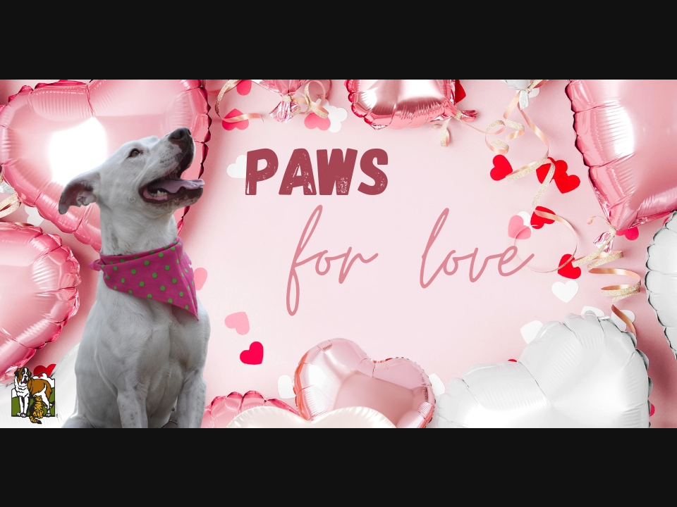 Orphans of the Storm's  short-term foster program, “Paws for Love,” has a minimum three-day foster commitment (no strings attached), with animals going to their foster homes starting this Friday, February 10.

