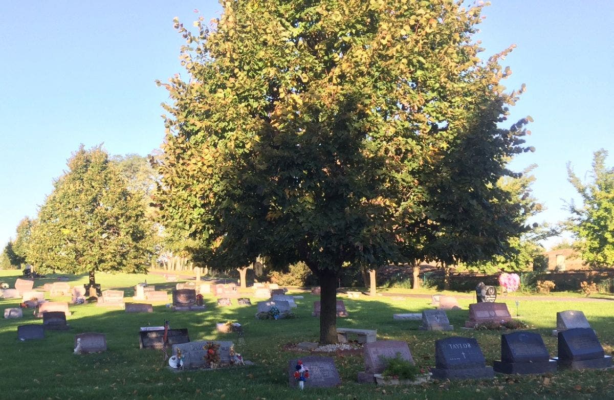 https://patch.com/img/cdn20/users/22890480/20161014/013623/styles/raw/public/article_images/2_op_cemetery-1476466282-9173.jpg