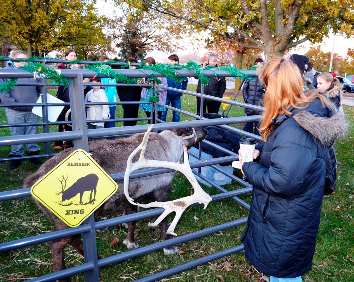 Orland Park Season with Tree Lighting & Holiday Fest Orland