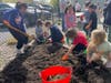 Lower Elementary students weed a raised garden bed in preparation for planting.