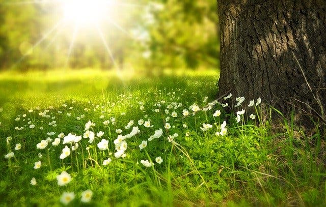 Ten Minutes to save the Planet