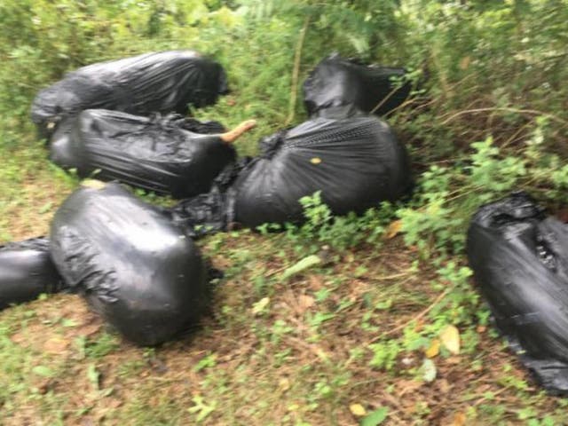Nassau SPCA Increases Reward For Info On Dead Dogs Found In Sump ...