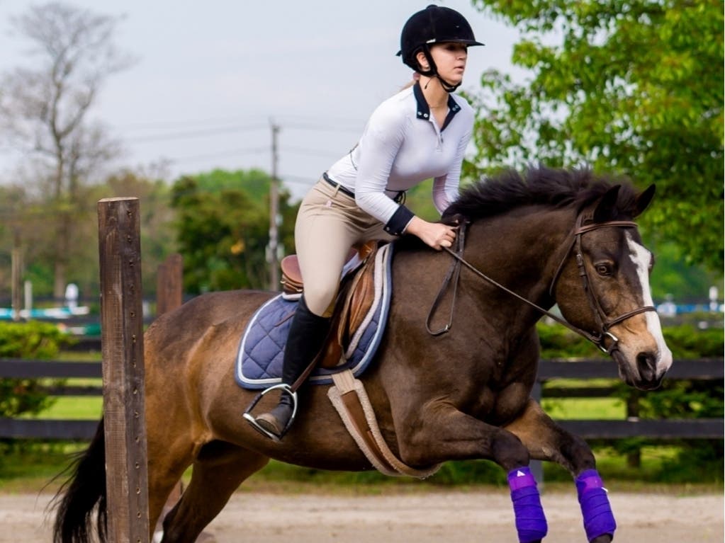 Isabella Palfi from Massapequa takes first and second place at the Nassau BOCES Barry Tech Horse Show.