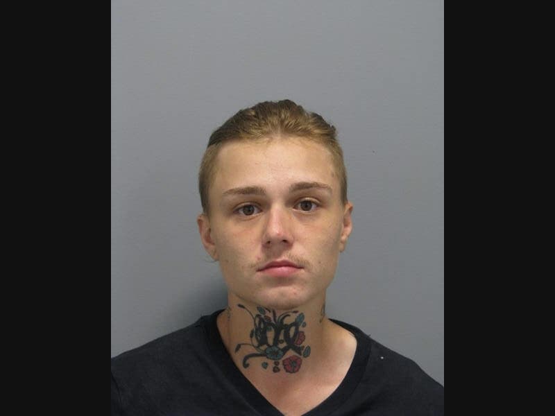 Nassau police say Darion Torres stole from multiple cars in the Five Towns and Lynbrook over the last two weeks.