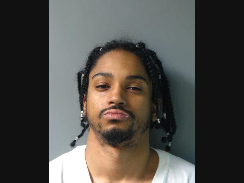 Police say David Sang drove into an officer's car while trying to flee a traffic stop, injuring the officer.