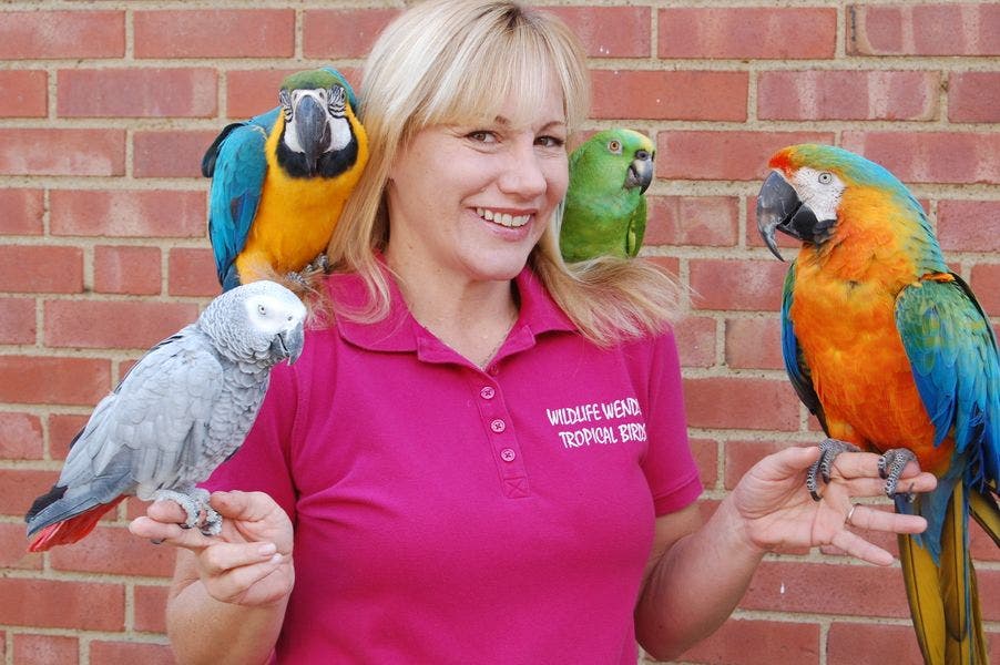 News small post card thumbnail