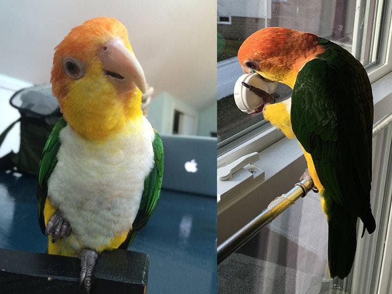 News small post card thumbnail