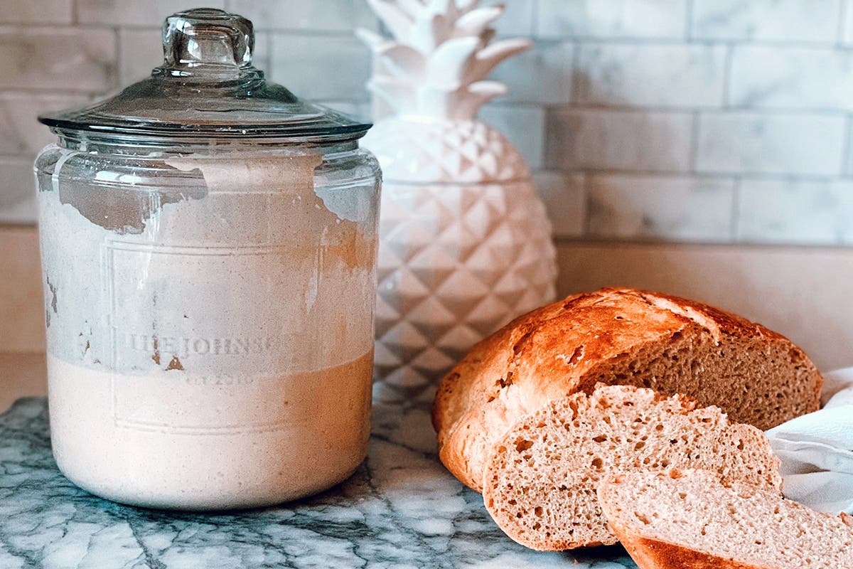 Jun 2 Sourdough Basics From Starters to Loaves Arlington, MA