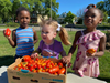 Childcare classes at St. Ann Center's Bucyrus Campus helped with gardening tasks this summer, and especially enjoyed the harvest!