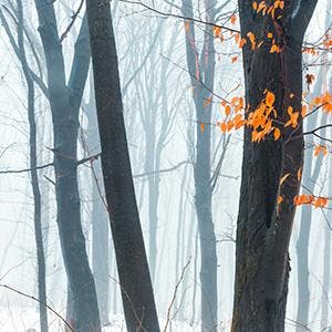 Winter ArtsFest