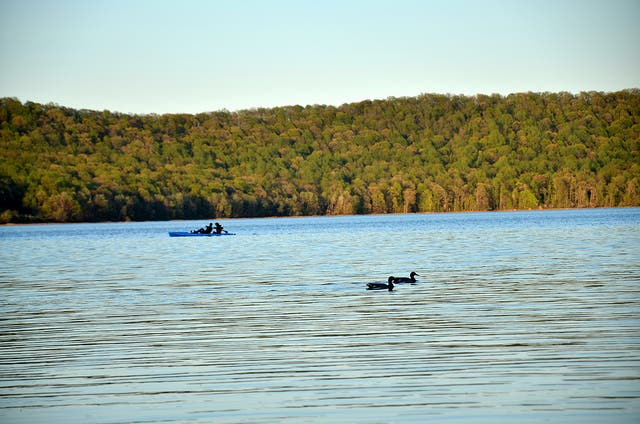 Image via sankar govind, Flickr