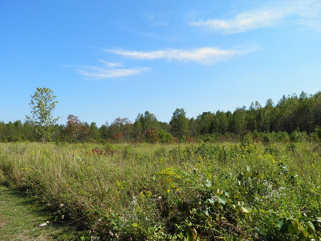 Image via Mike, Flickr