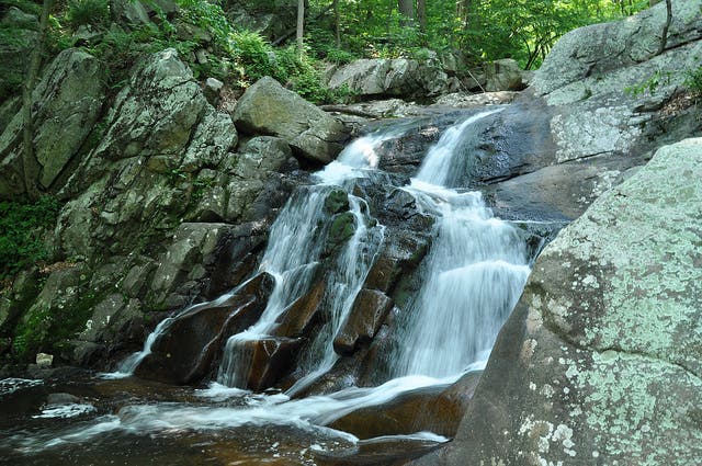 Image via Steven Reynolds, Flickr