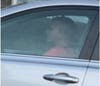 Anyone that recognizes this vehicle or driver should contact Avon police. 