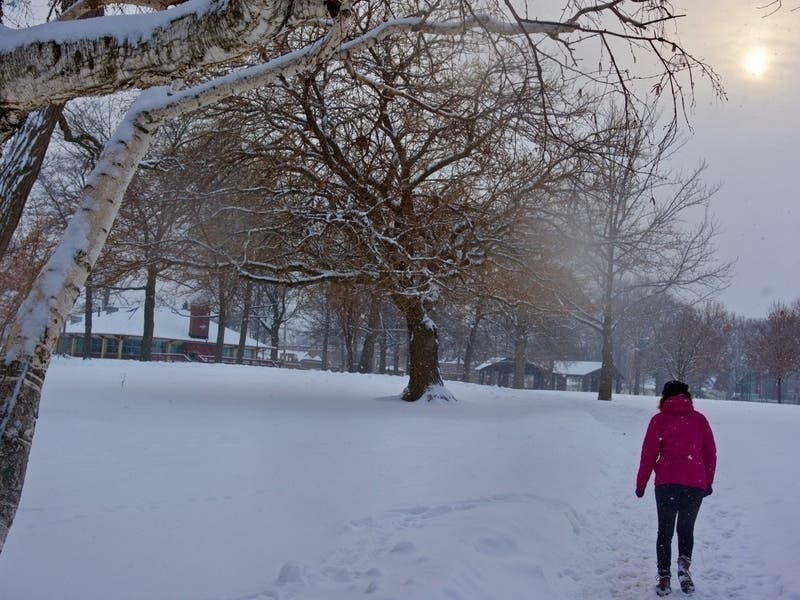 While Wagar Park is being renovated, residents are being encouraged to visit other municipal green spaces, like Lakewood Park. 