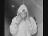 A man and woman broke into a pair of work vans parked at a Westlake business and stole tools, police announced. Investigators are hoping the public can identify the two suspects. 