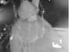 A man and woman broke into a pair of work vans parked at a Westlake business and stole tools, police announced. Investigators are hoping the public can identify the two suspects. 