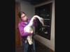 This distressed tundra swan was rescued when it was hurt in Westlake. 