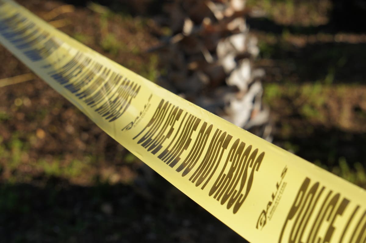 A horse was found dead in Fairmount Park Tuesday.