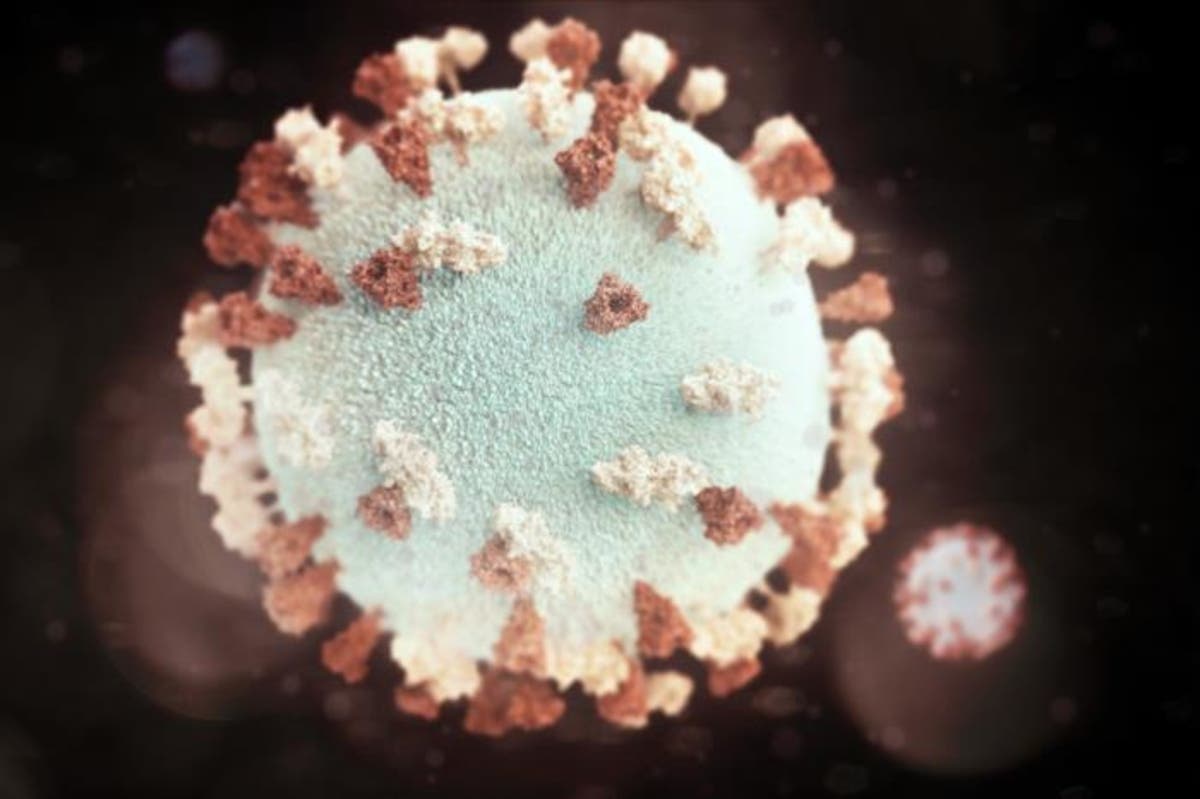 Mumps, of which a 3D model is above, cases are growing among Temple students prompting a petition to close the school.