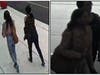 Two women are sought in connection with a pick pocket incident in Devon