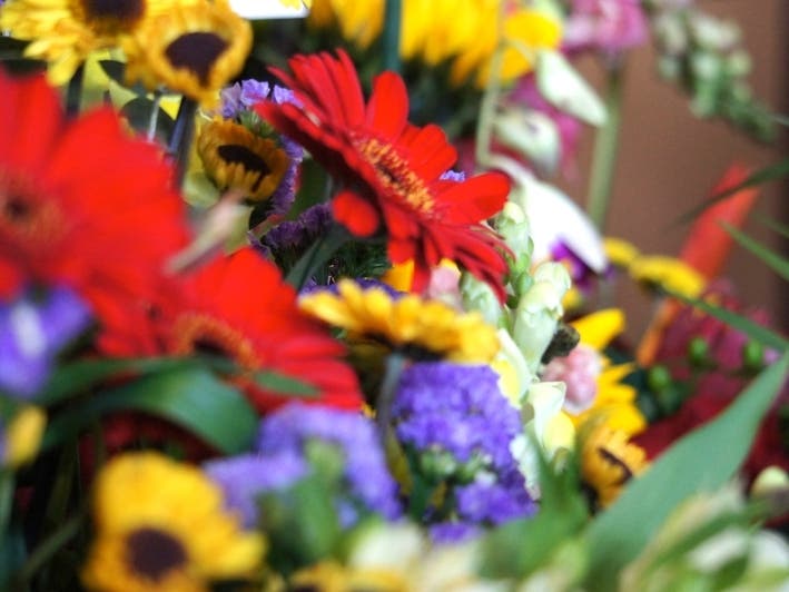 For the first time ever, the Philadelphia Flower Show will be held outdoors in June with the theme of "HABITAT: Nature’s Masterpiece."